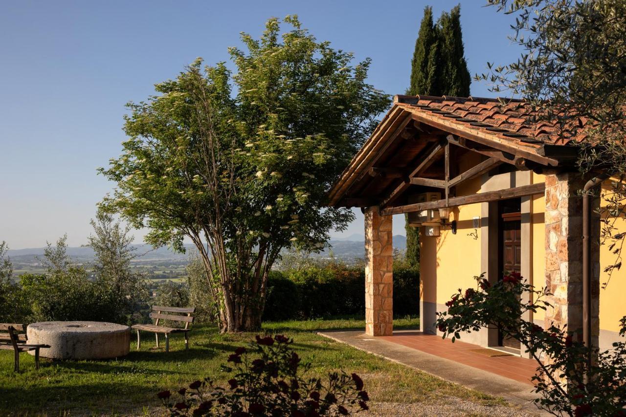 Вилла Il Poggio Degli Olivi Беттона Экстерьер фото